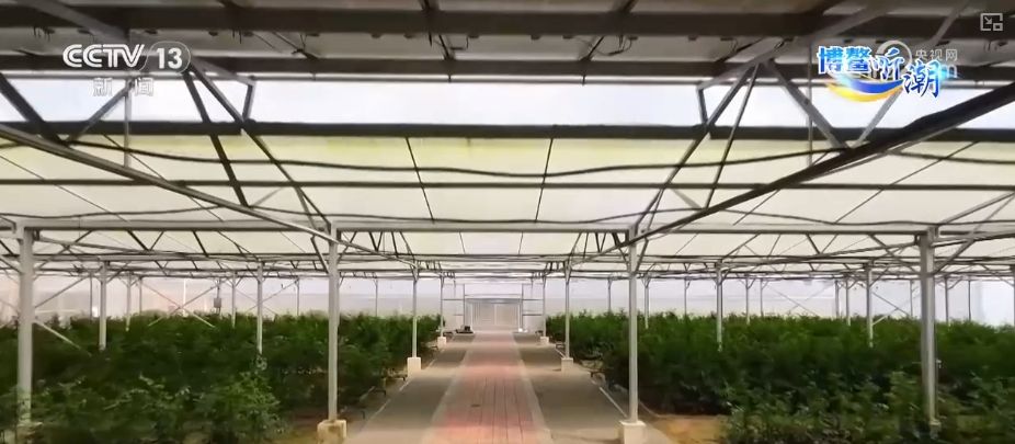 博鳌新知 从99%到“零碳”有迹可循(图6)