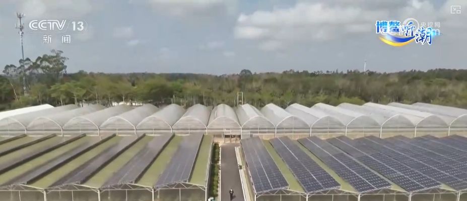 博鳌新知 从99%到“零碳”有迹可循(图7)