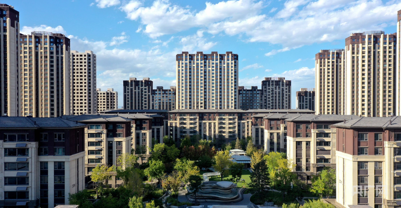 【高碑店！高】“高标准”铸就产业高地新图景(图1)