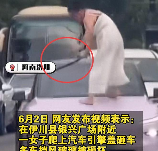 女子当街打砸车辆后续：砸的都是好车被抓时流泪认怂警方介入(图1)
