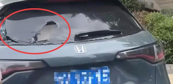 女子当街打砸车辆后续：砸的都是好车被抓时流泪认怂警方介入(图11)