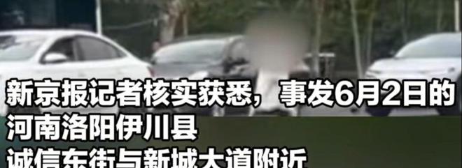 女子当街打砸车辆后续：砸的都是好车被抓时流泪认怂警方介入(图3)