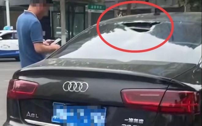 女子当街打砸车辆后续：砸的都是好车被抓时流泪认怂警方介入(图10)