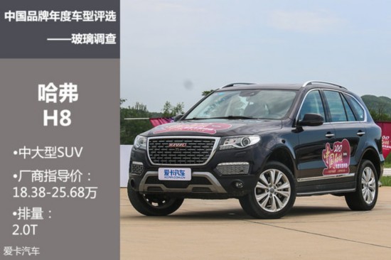 中国品牌车型玻璃调查(图6)