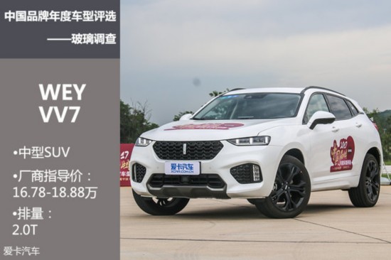中国品牌车型玻璃调查(图10)