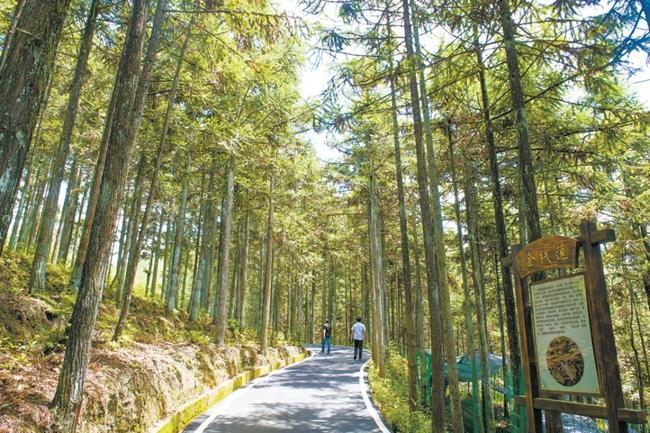 时政微观察丨从这些“第一”感悟习近平在闽金融论述与实践经验(图2)