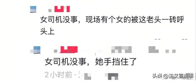 解气！男子拎砖怒砸汽车12下打破无辜路人脑袋终被带手铐拖走(图18)