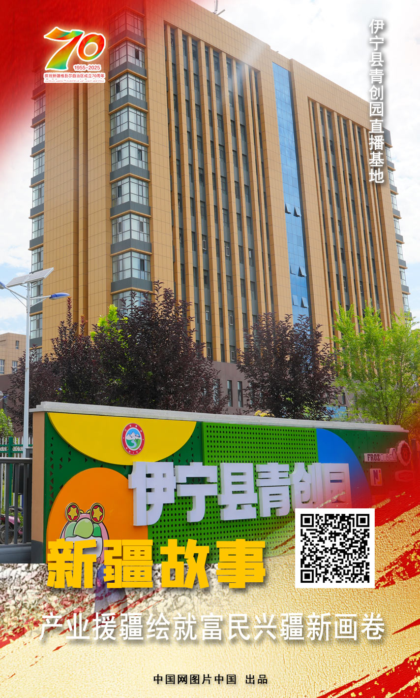 新疆故事 产业援疆绘就富民兴疆新画卷【海报】(图3)