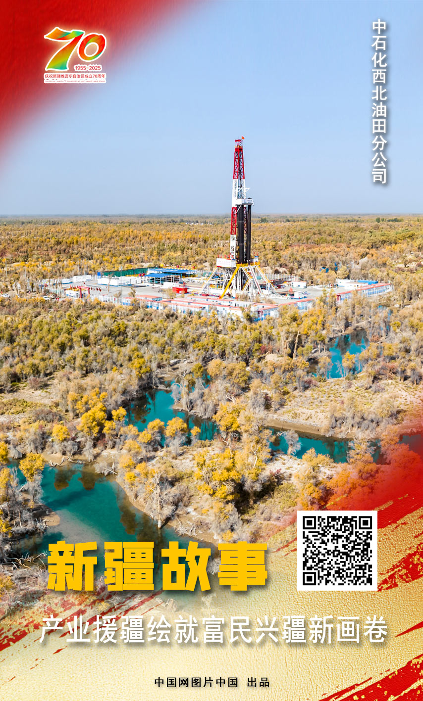 新疆故事 产业援疆绘就富民兴疆新画卷【海报】(图5)