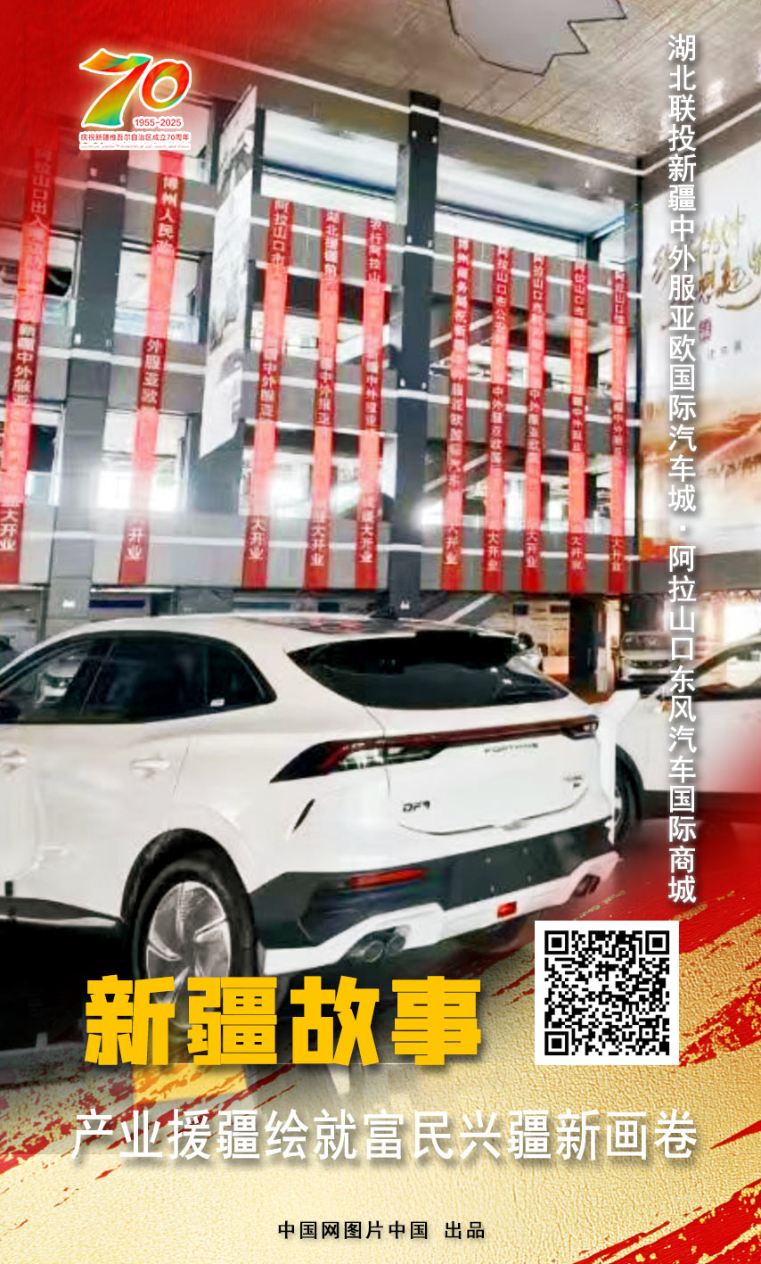 新疆故事 产业援疆绘就富民兴疆新画卷【海报】(图16)