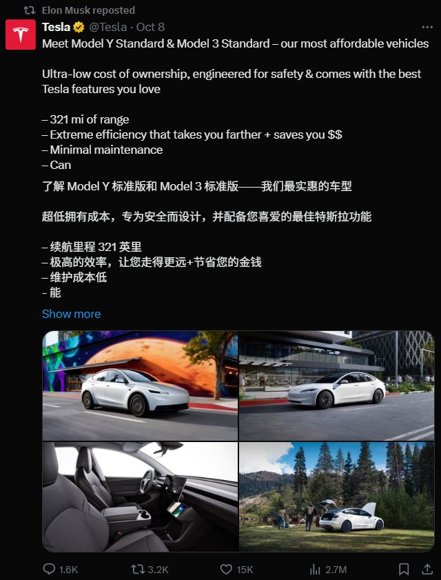史上最便宜的特斯拉？我都想不通马斯克在搞啥。(图24)