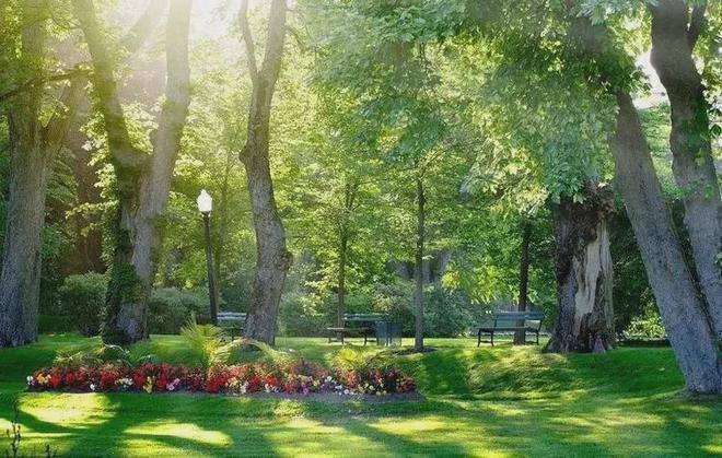 盛大开幕▷中骏云景台售楼处官方发布中骏云景台奢华生活新标杆(图5)