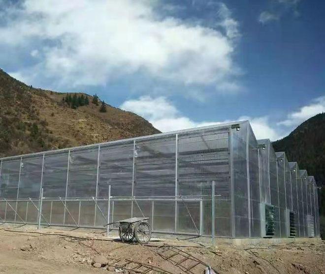 2025年靠谱的玻璃温室大棚行业内口碑厂家排行榜