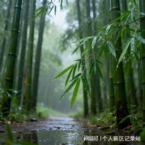 2025年知名的薄膜连栋玻璃温室厂家选购参考榜