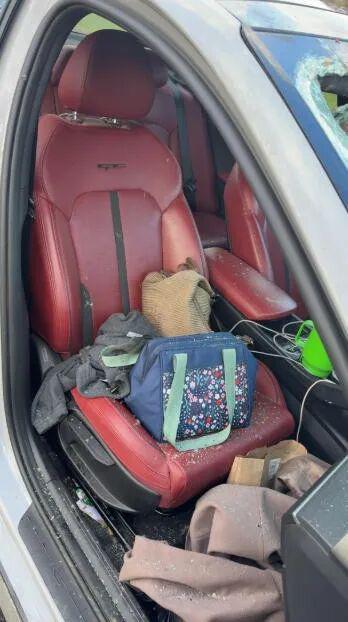 惊险！天降死猫砸破她车玻璃血溅一身！抬头发现是猛禽投的“炸弹”？(图7)