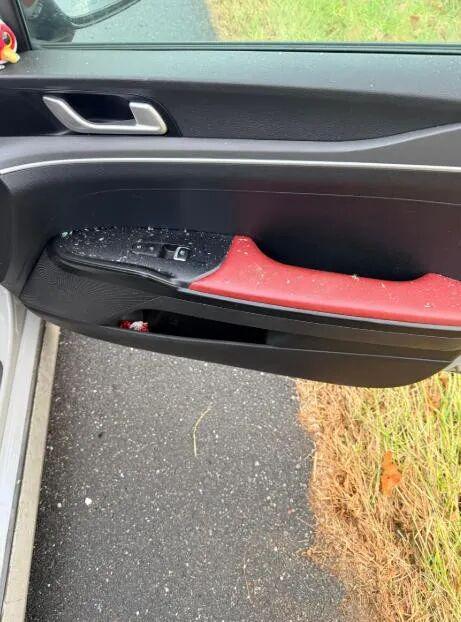 惊险！天降死猫砸破她车玻璃血溅一身！抬头发现是猛禽投的“炸弹”？(图8)