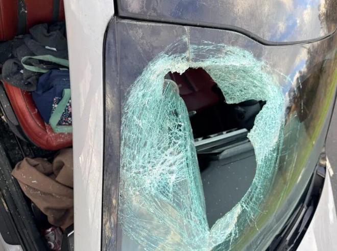 惊险！天降死猫砸破她车玻璃血溅一身！抬头发现是猛禽投的“炸弹”？(图5)