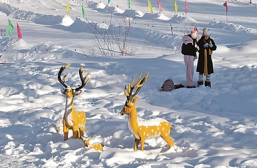 冰天雪地里最北之村正热腾呢——黑龙江漠河北极村发展特色产业的故事(图2)