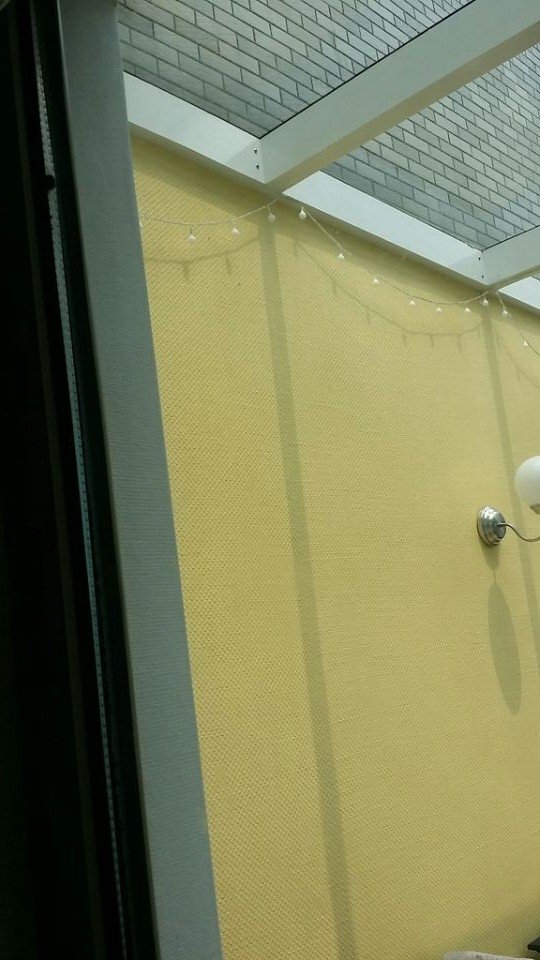 悲壮的进步与进化(图1)