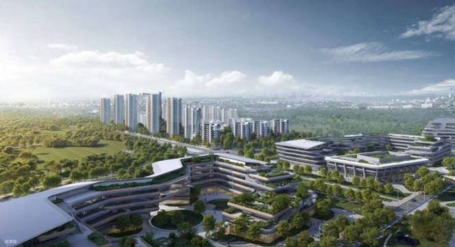 合肥伟星万科星遇光年项目户型图-学区(图2)