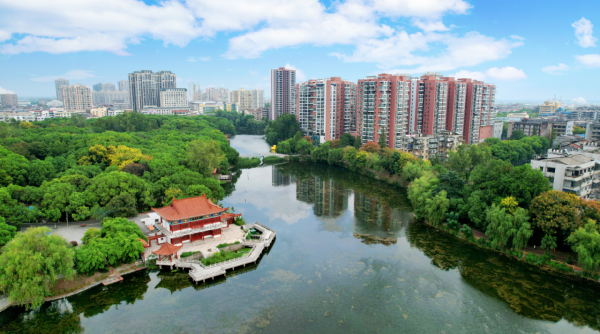 乡村蝶变满目新春节归乡感受沃野田畴中的日新月异(图10)