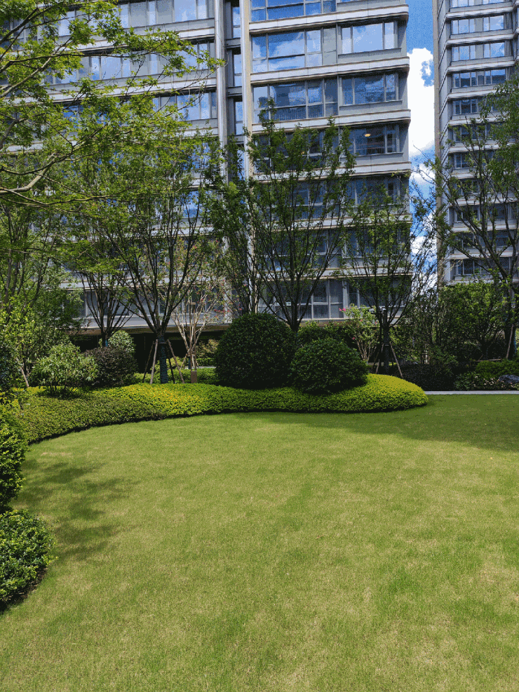 中环桃源里 (售楼处) 官方官网 -2026年中环桃源里官方销售中心电话 - 环境 户型价格地址楼盘详情配套电话交房时间配套(图12)