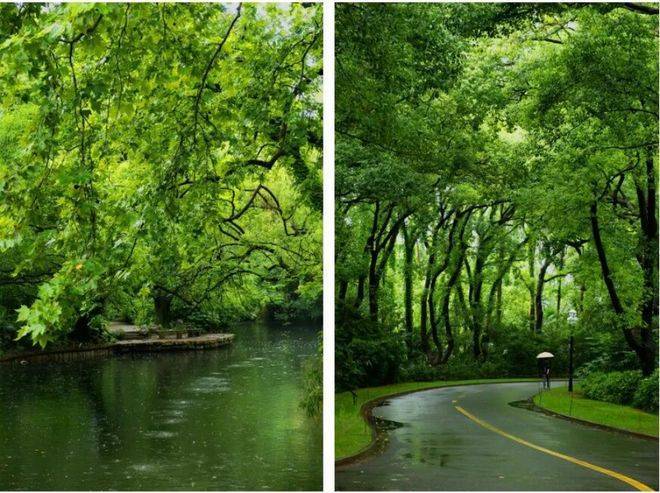 西郊云庐售楼处_西郊云庐(营销中心)官方网站_售楼处地址_电话_价格曝光_最新房源情况_户型_中心电线小时咨询热线(图7)