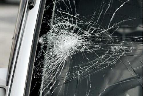 南宁：车子停放在小区商铺前玻璃却被落叶砸坏！谁该负责？(图1)