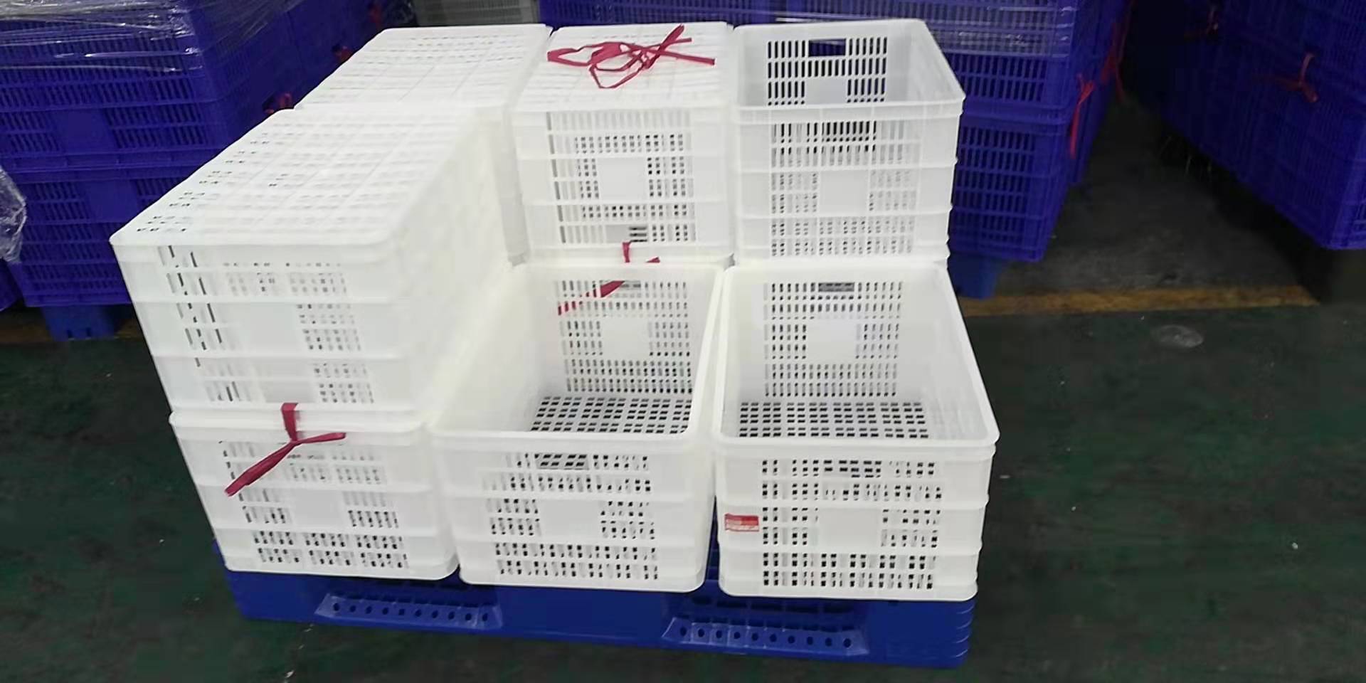 2025年中国注塑行业机器人深入洞察研究报告(图1)