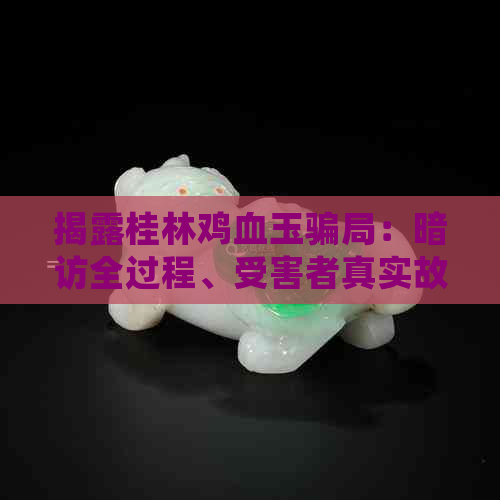 揭露桂林鸡血玉骗局：暗访全过程、受害者真实故事及防骗指南(图1)