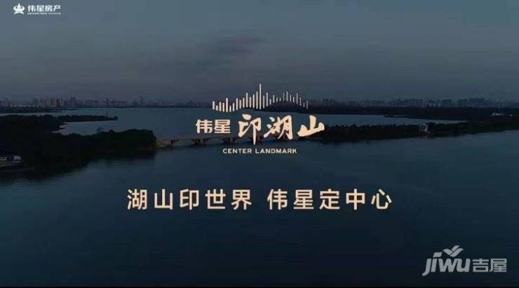 合肥伟星印湖山项目价格解析：文化价值的市场体现(图5)